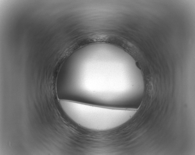 X0000066940604200603240936