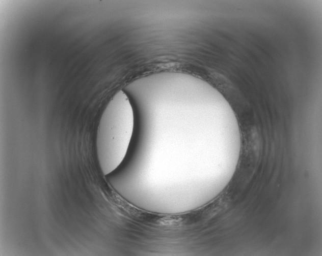 X0000066940606200603240936