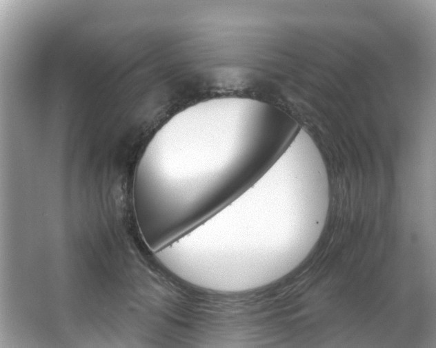X0000066940608200603240936