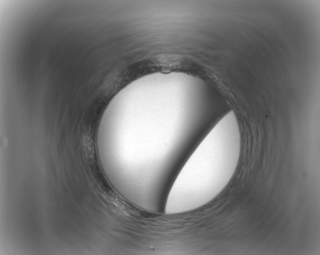 X0000066940609200603240936