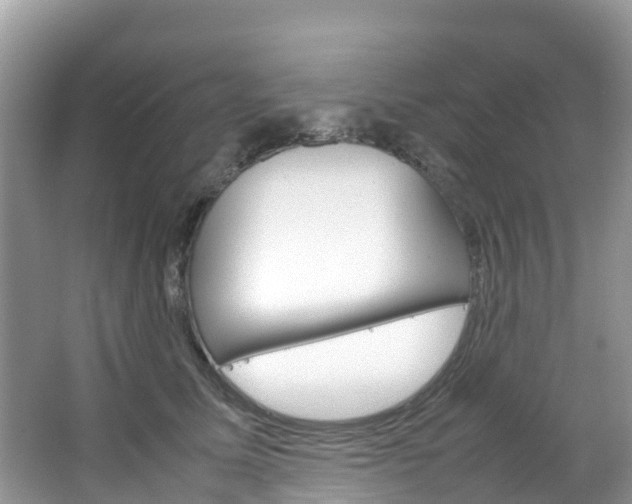 X0000066940611200603240936