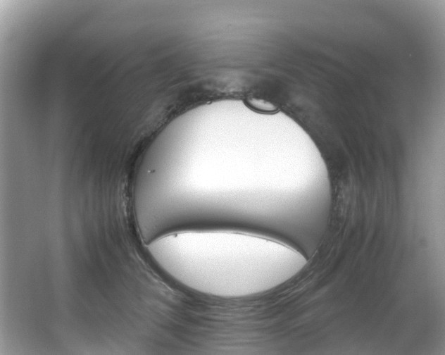X0000066940612200603240936