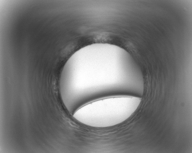 X0000066940619200603240936
