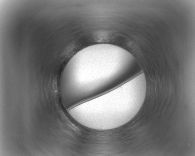 X0000066940620200603240936
