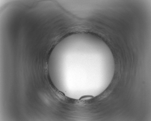 X0000066940624200603240936