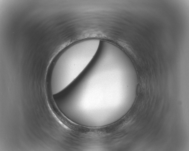 X0000066940630200603240935
