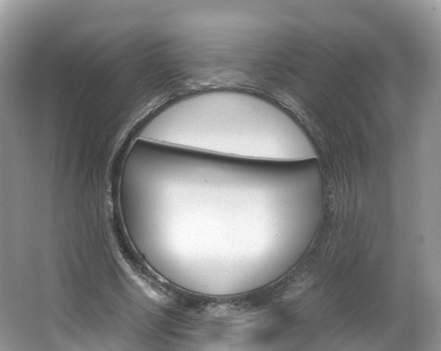 X0000066940634200603240935