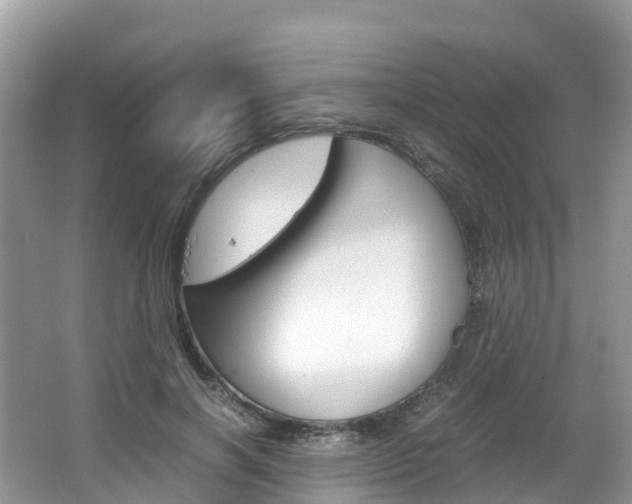 X0000066940646200603240936