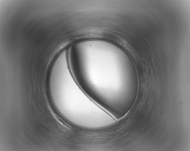X0000066940677200603240935