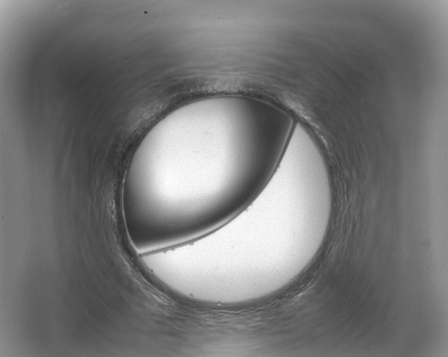 X0000066940681200603240935