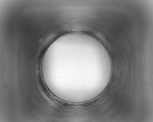 X0000066940683200603240935