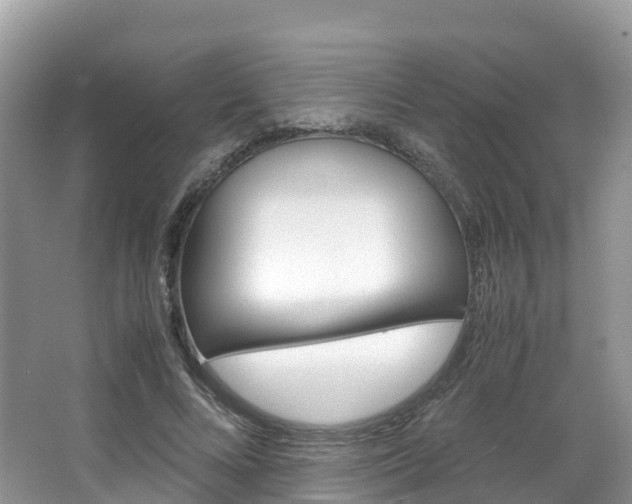 X0000066940688200603240935