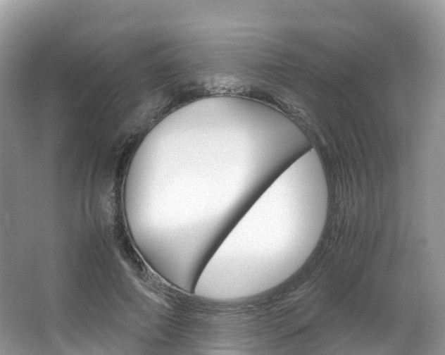 X0000066940690200603240935