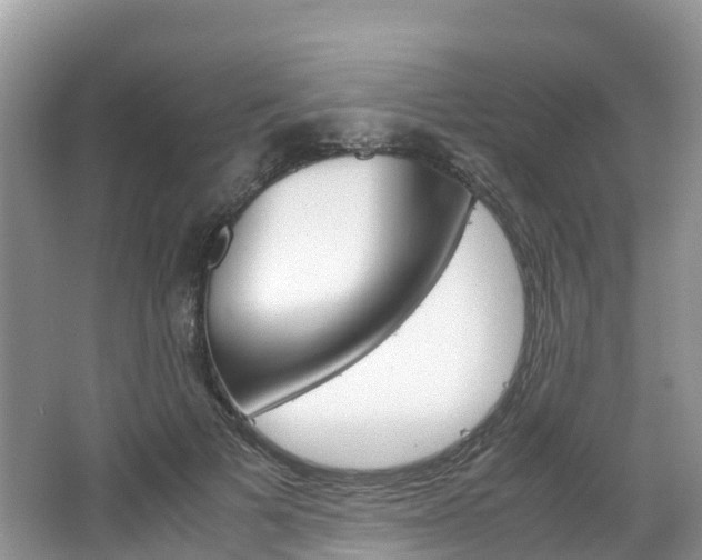 X0000066940697200603240935