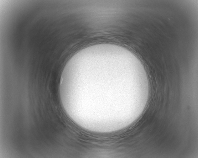 X0000066940705200603240935