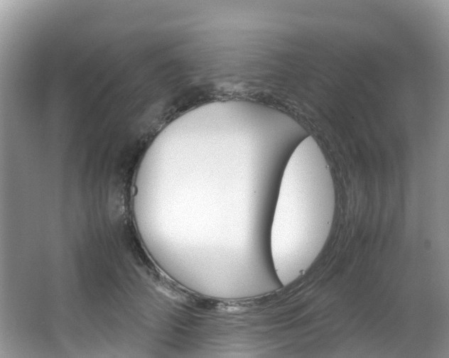 X0000066940706200603240935