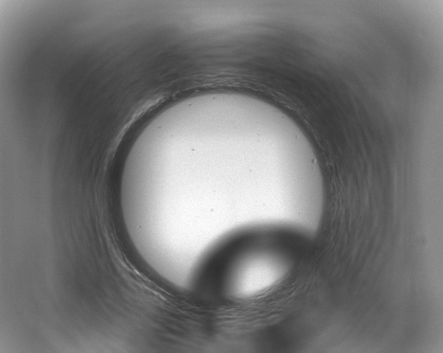 X0000066940731200603240934