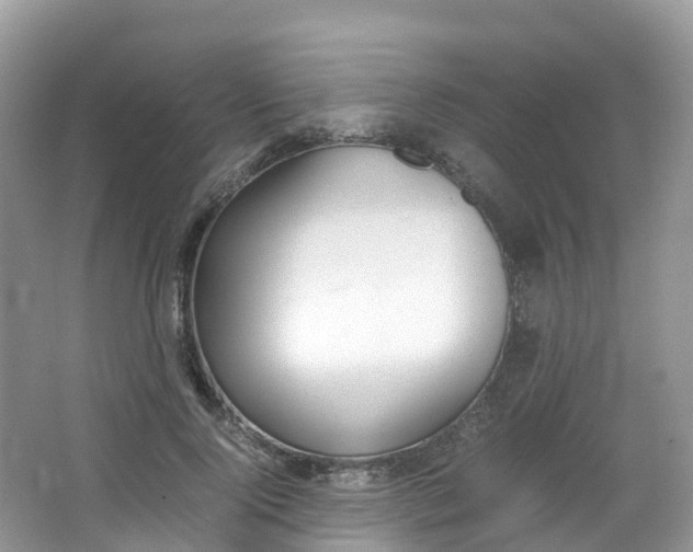X0000066940740200603240934