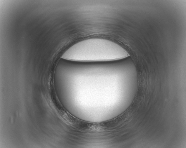 X0000066940742200603240934