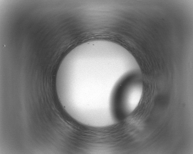 X0000066940748200603240934