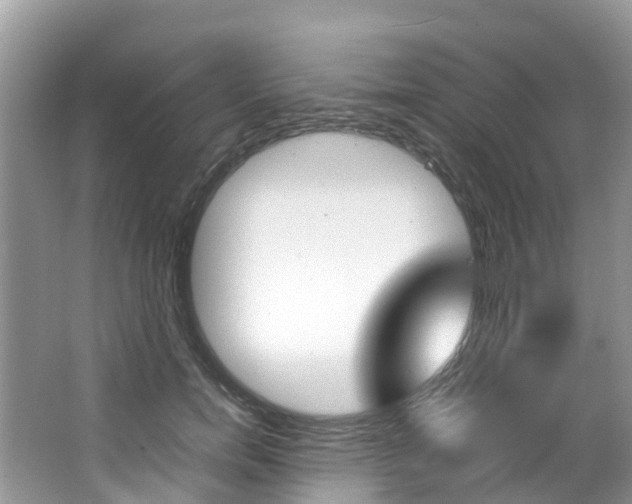 X0000066940750200603240934