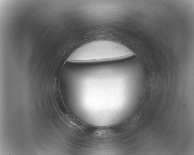X0000066940752200603240934