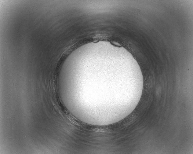 X0000066940755200603240934