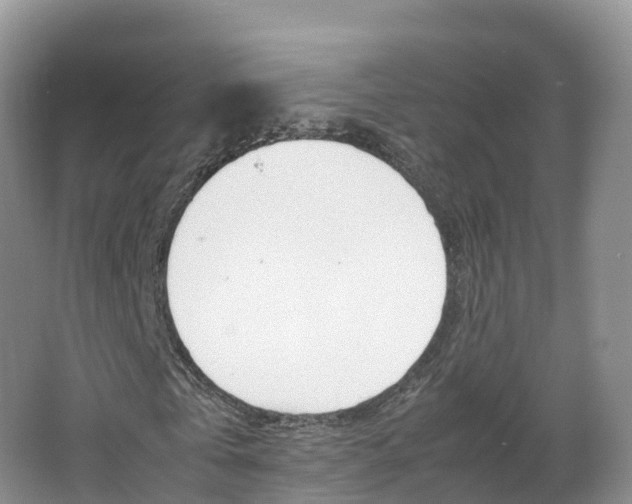 X0000066940769200603240934