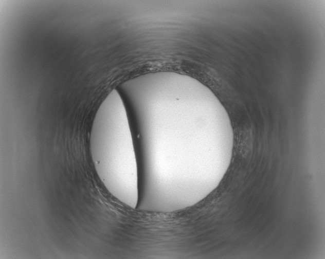 X0000066940770200603240934