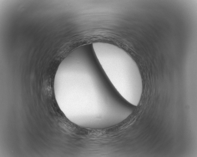 X0000066940771200603240934