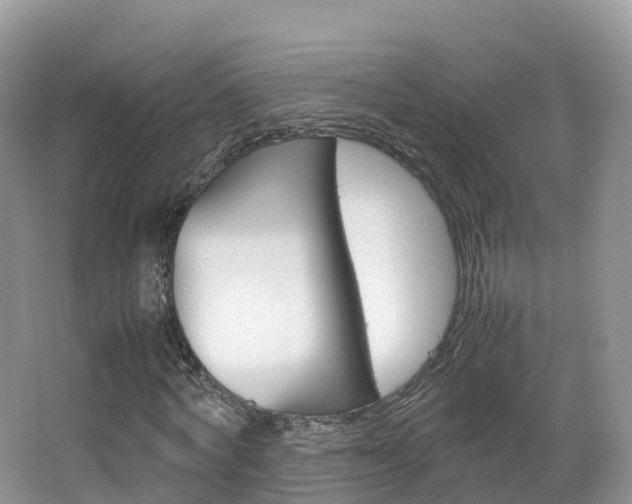 X0000066940772200603240933