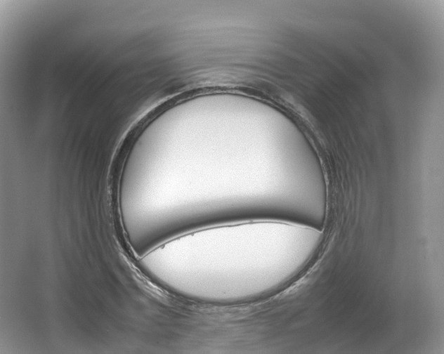 X0000066940779200603240933