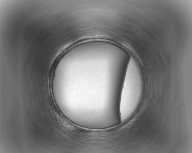 X0000066940781200603240933