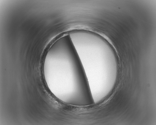 X0000066940783200603240933
