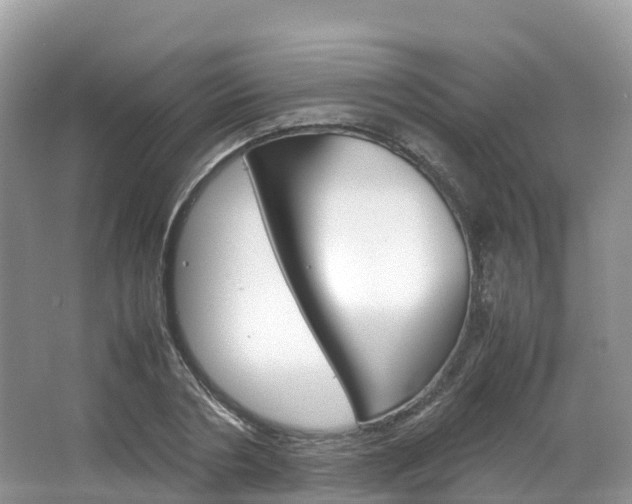 X0000066940786200603240933