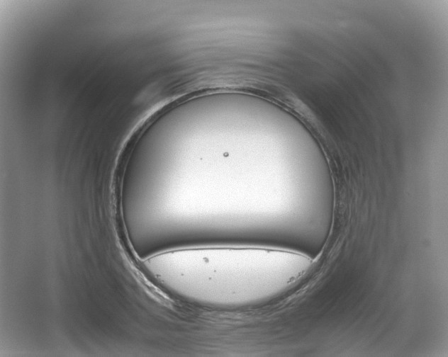 X0000066940787200603240933