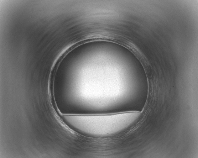 X0000066940788200603240933