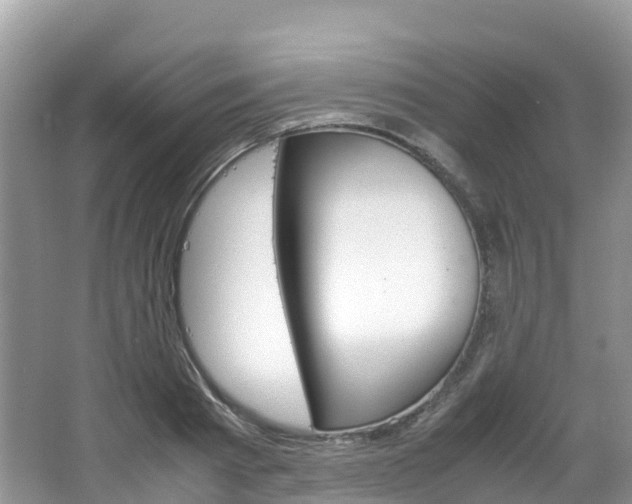 X0000066940793200603240933
