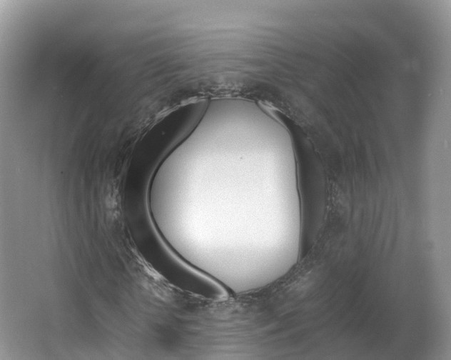 X0000066940818200603240932