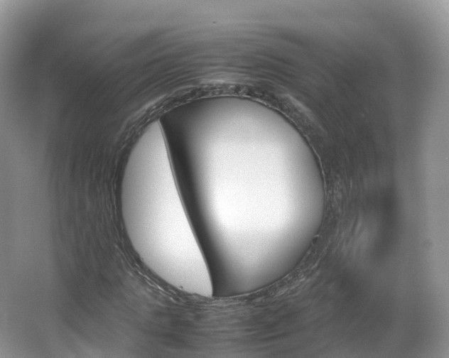 X0000066940821200603240932