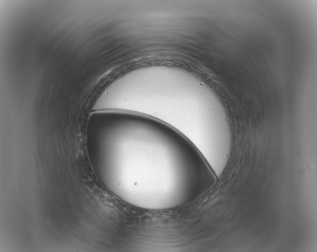 X0000066940822200603240932