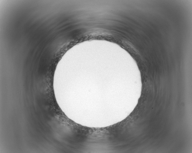 X0000066940824200603240932