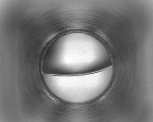 X0000066940826200603240932