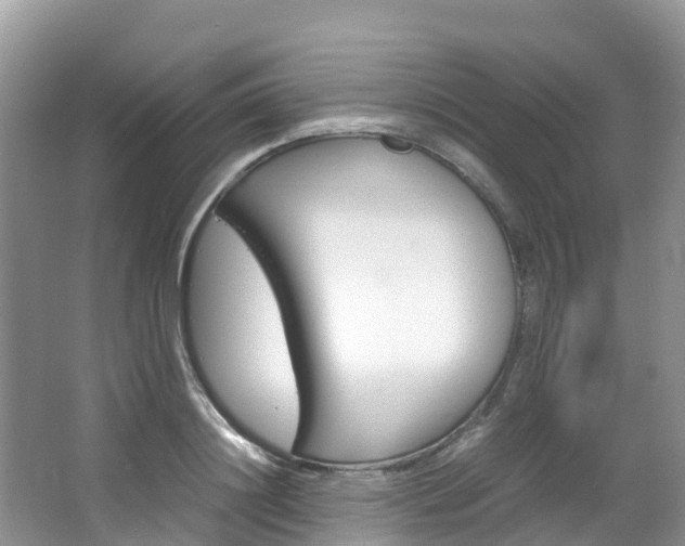 X0000066940844200603240932