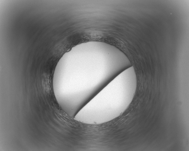X0000066940866200603240932