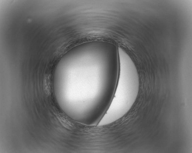 X0000066940868200603240932