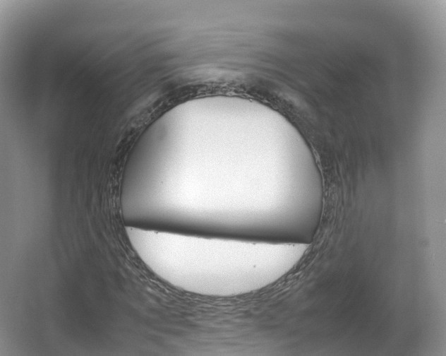 X0000066940869200603240932