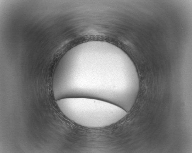 X0000066940870200603240932