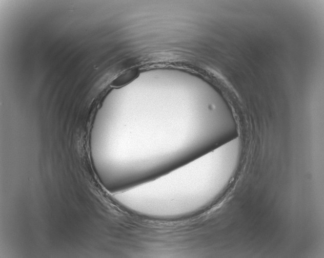 X0000066940873200603240932
