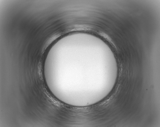 X0000066940874200603240932